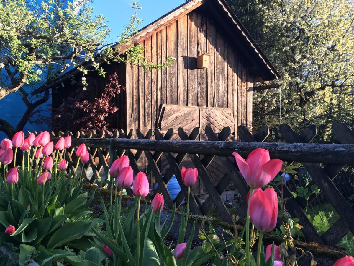 Haus Seerose Seeboden am Millstätter See Exterior foto
